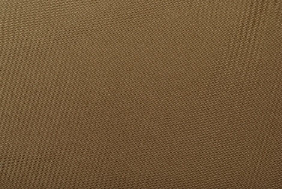 COYOTE BROWN